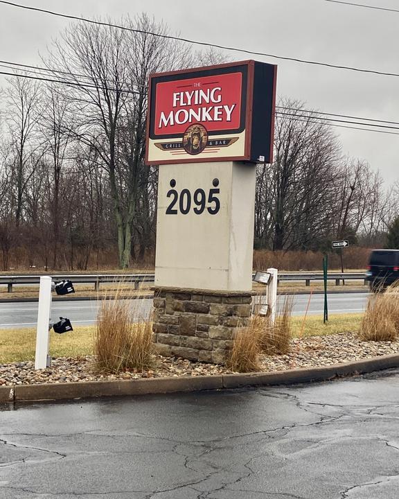 The Flying Monkey